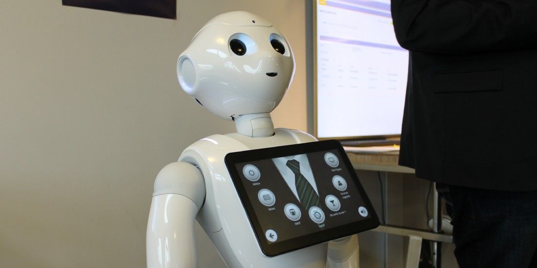 Pepper: quels résultats pour Renault, Axa et Carrefour?